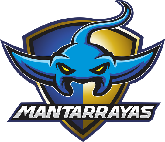 Aliado Institucional